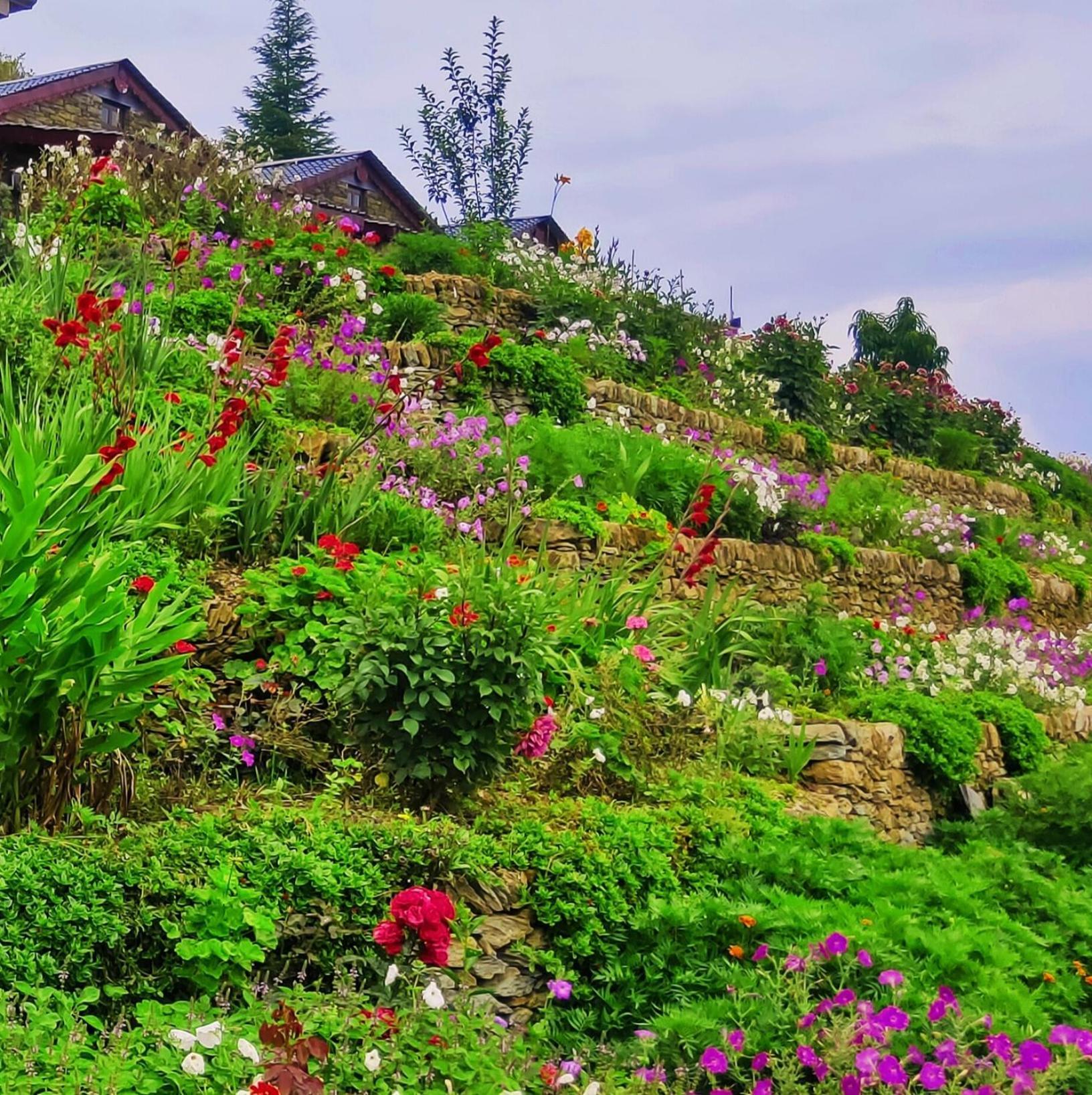 Meraki Huts Pauri Exterior foto
